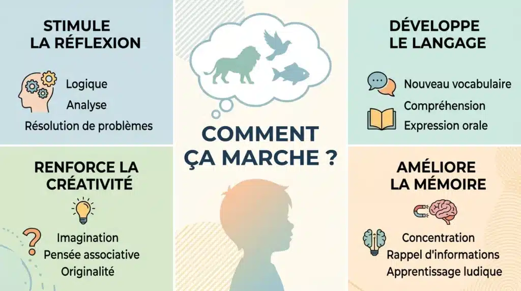 Schéma expliquant le processus cognitif d'un enfant résolvant une devinette sur les animaux